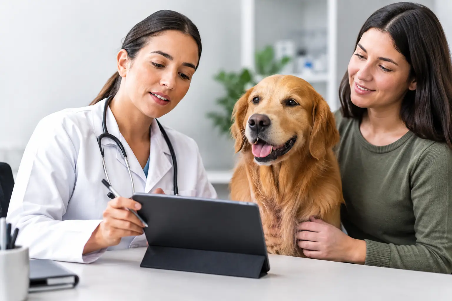 Prontuário veterinário e continuidade no cuidado